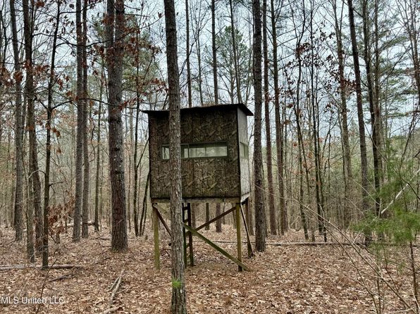 Laws Hill Rd, Holly Springs, MS 38635