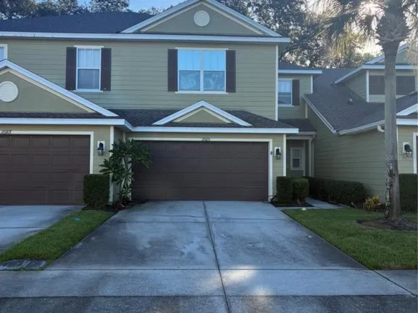 20105 Weeping Laurel Pl, Tampa, FL 33647