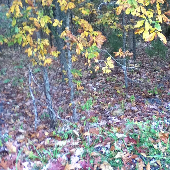 1st image of Brawely Lane Lot 12 Sec 7a