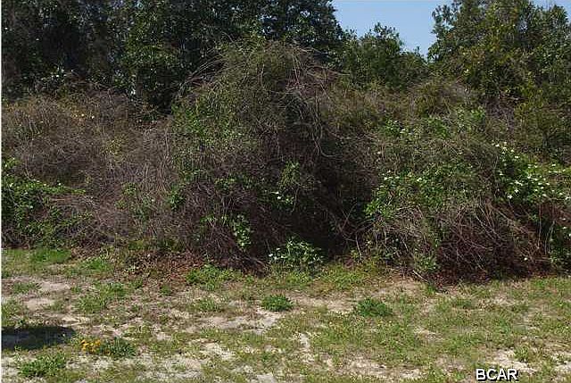 2nd image of 211 Summer Breeze Rd