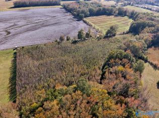 County Road 67, Lexington, AL 35648