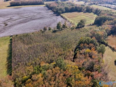 County Road 67, Lexington, AL, 35648