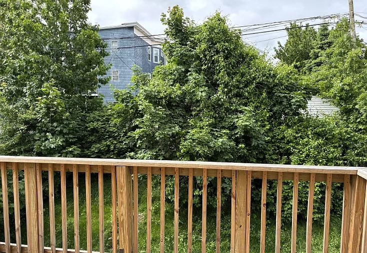 40 Harvest St #2A — Photo 8
