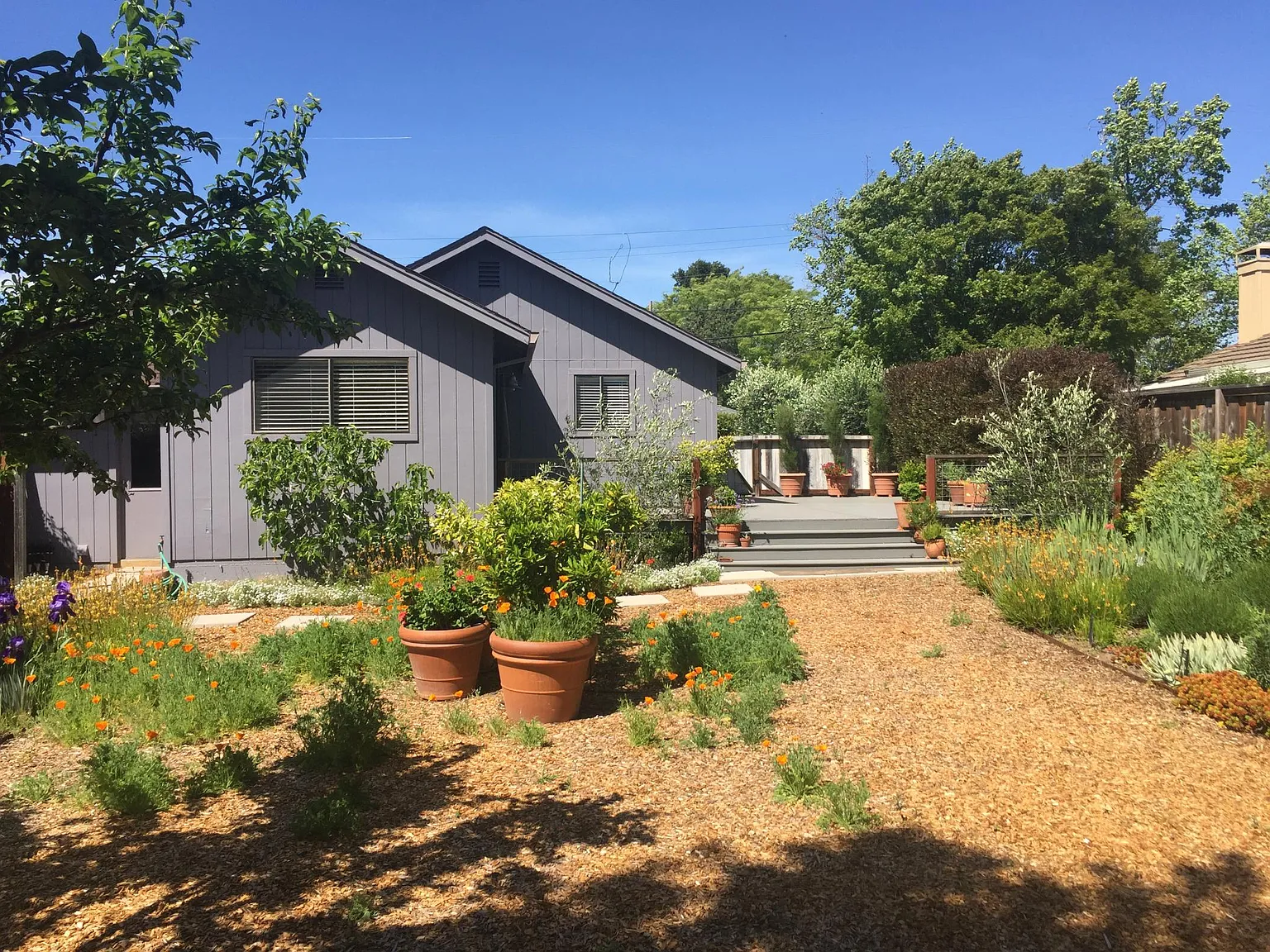 586 Curtin Ln — Photo 2
