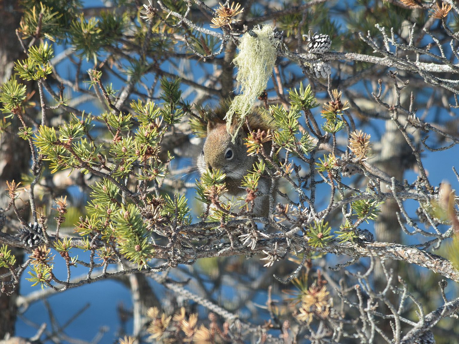 2799 Feather Sound Dr, Clearwater, FL 33762 Zillow