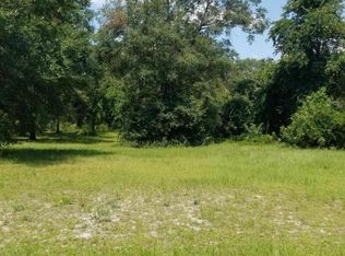 2568 Hollyhock Ave, Middleburg, FL 32068