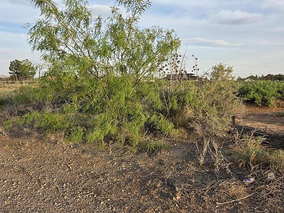 3rd image of 5174 Desert Willow Dr