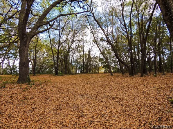 0 Piney Ridge Blvd, Fruitland Park, FL 34731