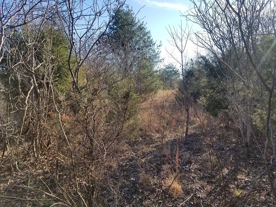 2nd image of Cotton Court Rd