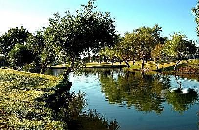 pond on the greenelt