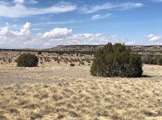 4 & 5 Longhorn Trl, Model, CO 81059