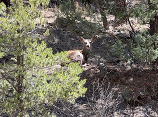 0 Timber Ridge Rd TRACT 24, Weston, CO 81091