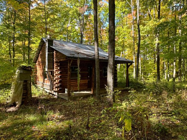 Off County Line Lake Rd, Bruce Crossing, MI 49912