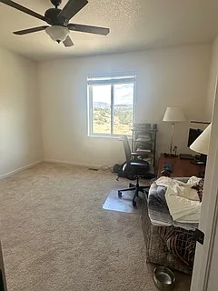 421 Gold Canon Rd — Photo 11