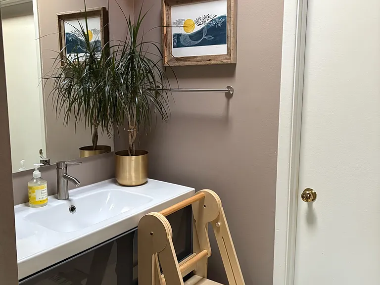 guest bathroom