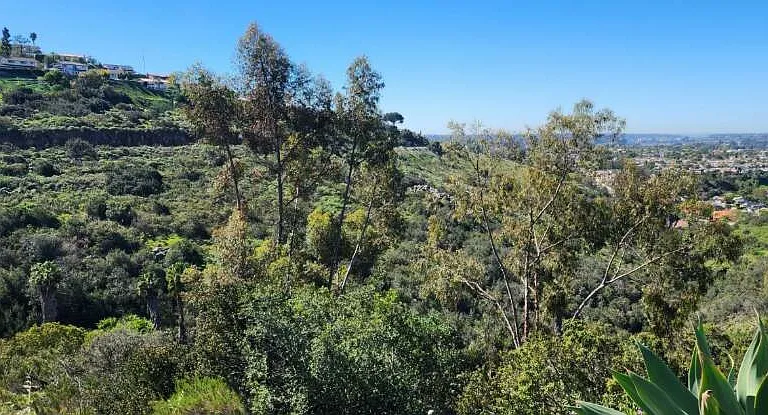6379 Oakridge backyard canyon view and San Diego bay in the distance.