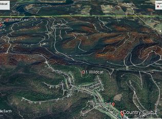 31 Wildcat Ln #13, Eureka Springs, AR 72631