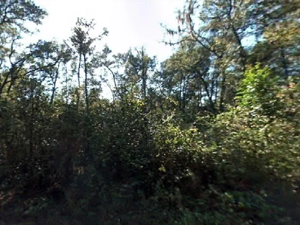 NW 66th St Lot 23, Ocala, FL 34475