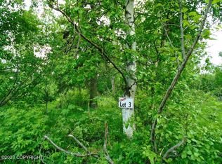 L3 E 135th Ave, Anchorage, AK 99516