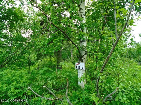 L3 E 135th Ave, Anchorage, AK 99516