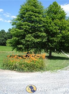 Entrance to a private heaven