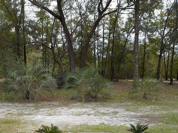 2nd image of 7301 SW County Road 240