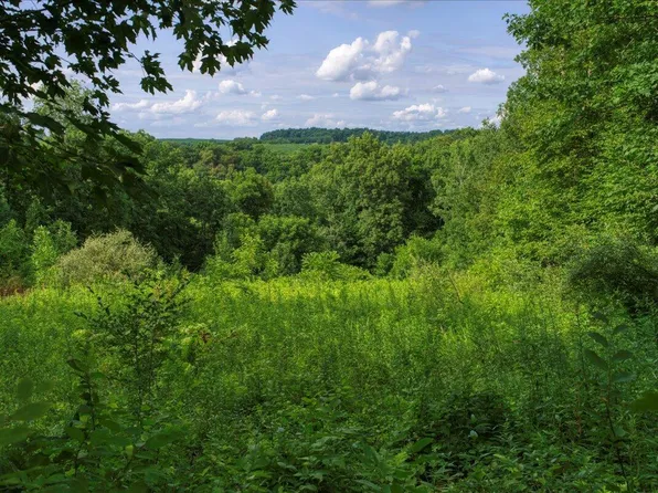 0 BATTLE AVENUE, De Soto, WI 54624