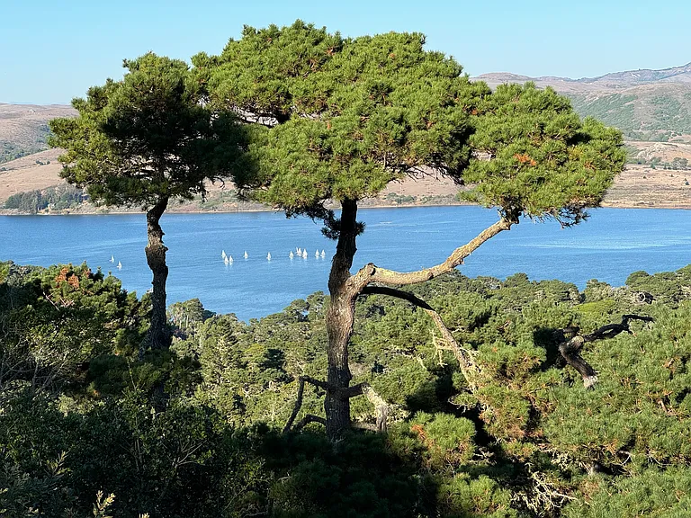 Via De La Vis — Photo 12
