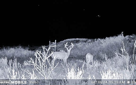5th image of 36 Star Rd