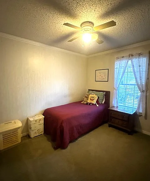 29 Mike Dr — Photo 34