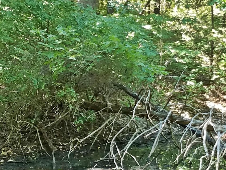 2nd image of 6791 N State Highway Hh
