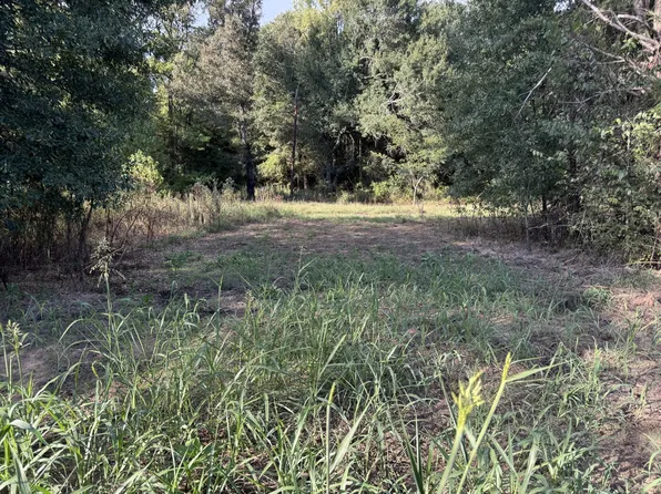 0 County Road 2362, Bagwell, TX 75412
