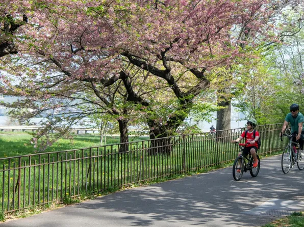 241 West 97th Street image 14 of 16