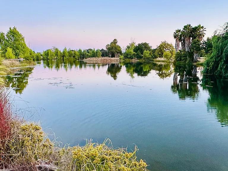 Penitencia Creek Park Lake (walking distance from the house)