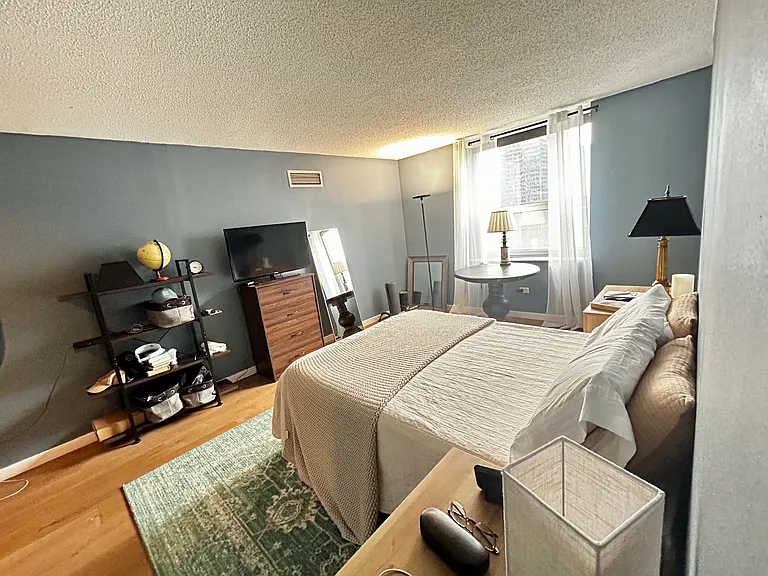 545 N Dearborn St #3008 — Photo 20