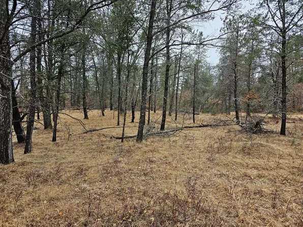 LOT 107 S Huntinghorn Rd, Roscommon, MI 48653