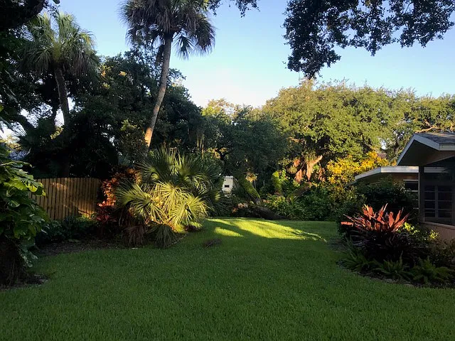 328 Live Oak Rd — Photo 6
