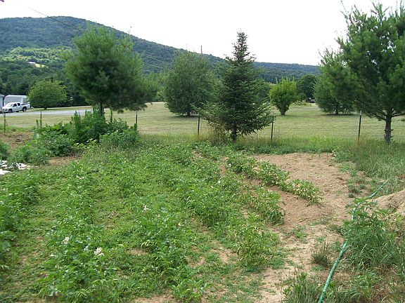 Vegetable garden