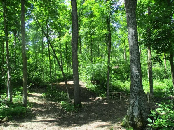 XXXX W bass Lake Ln, Luck, WI 54853