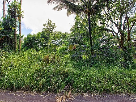 2nd image of King Kamehameha Blvd