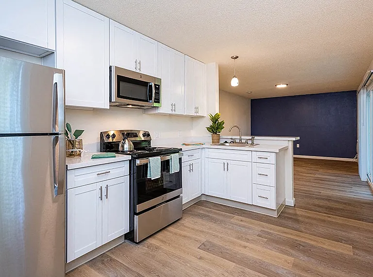 LOTUS APARTMENTS — Photo 10