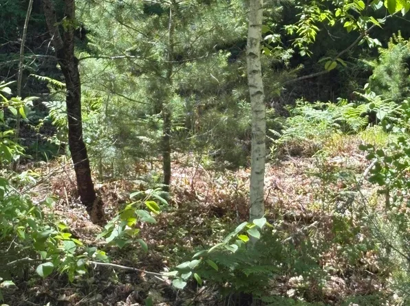 M11 Lot 02 Joseph Way, Waterboro, ME 04030