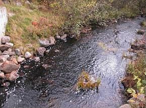 babbling brook