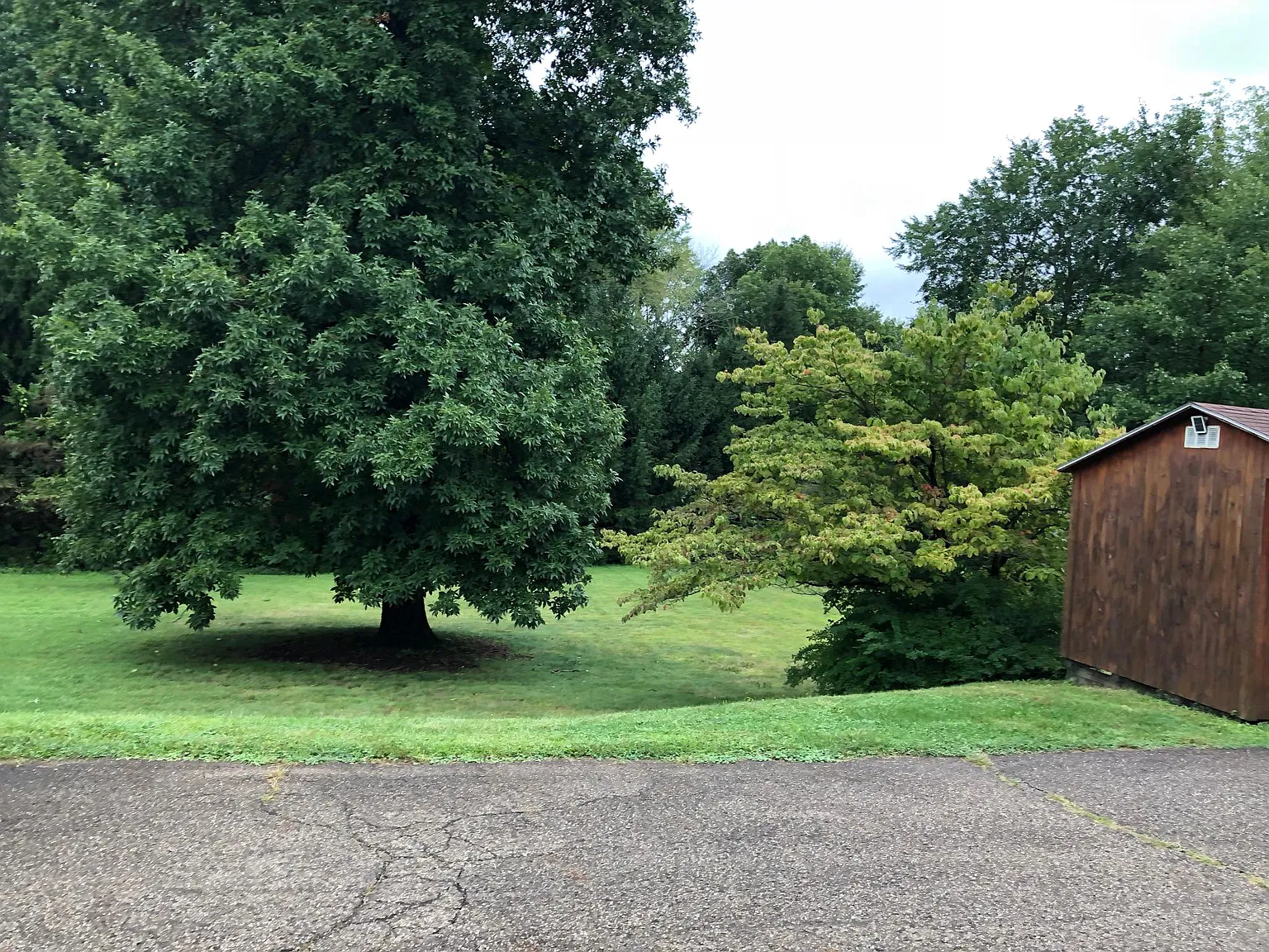 2 bed, 1100 sqft, $1,200 — Photo 4