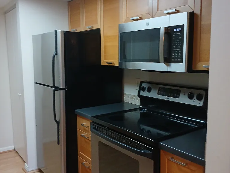 10547 Beacon Ridge Dr #301 — Photo 8