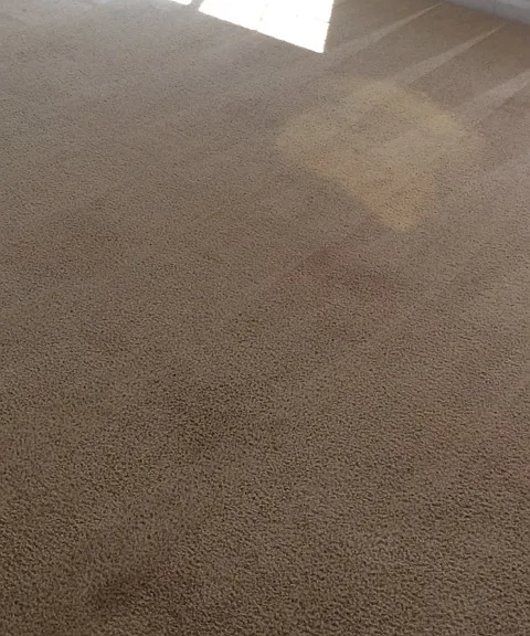 2328 S Fallbrook Dr — Photo 29