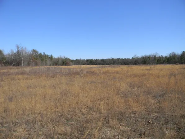 Pearl Ln, Williston, SC 29853