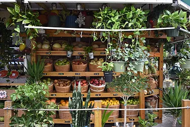 Rented by Bold New York