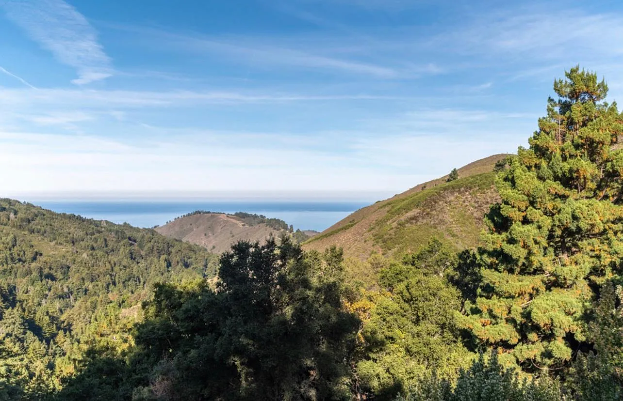 Palo Colorado Rd, Carmel — Photo 4