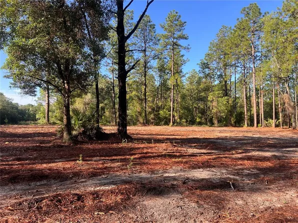 24 SE 130th Ct Lot 24, Dunnellon, FL 34431